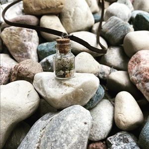 Handmade terrarium necklace